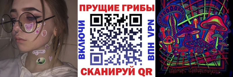 Псилоцибиновые грибы Magic Shrooms  Купить закладки  Петухово 
